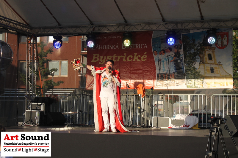 Spevák spieva do mikrofónu na ozvučení na hodoch